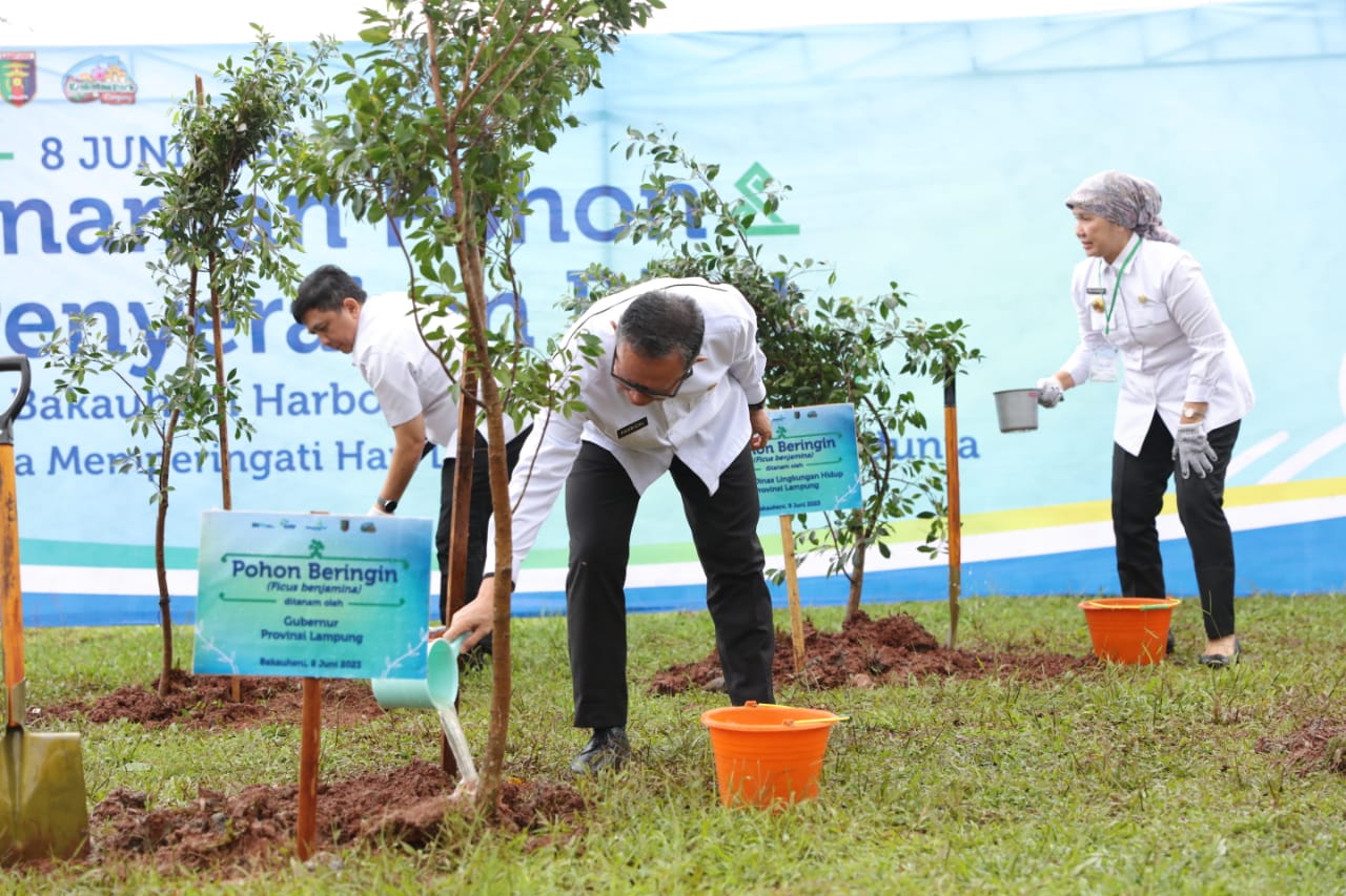 Pemprov Lampung Lakukan Penanaman Dan Penyerahan Bibit Pohon Di Kawasan